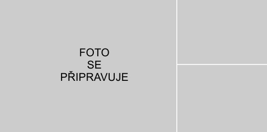 Chata č.9